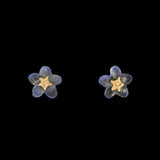 Clous simples Myosotis