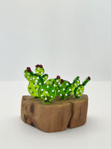 Cactus 7 pièces - Erin Pell
