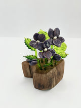 Violette - 3 fleurs, 2 bourgeons, 1 pétale, 6 feuilles Erin Pell