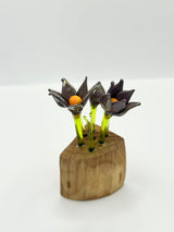 Crocus double