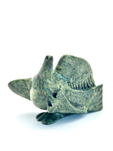 Bird - Kellipalik Etidloie