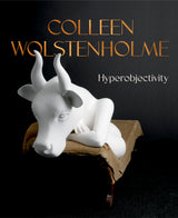 Hyperobjectivity- Colleen Wolstenholme